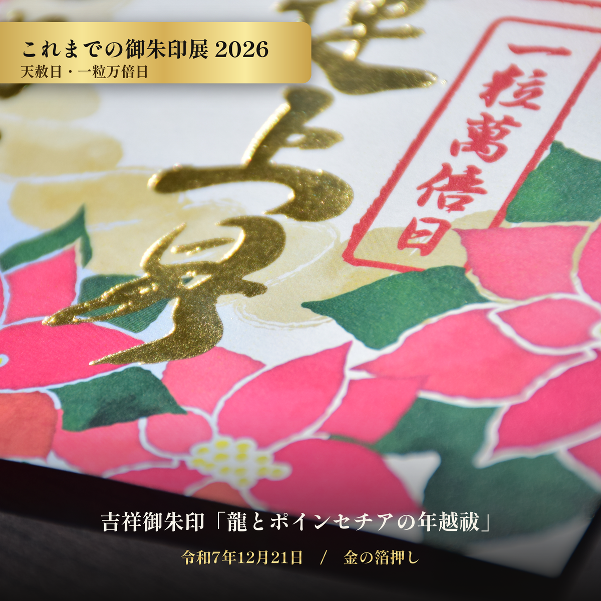 【これまでの御朱印展】令和7年12月21日 天赦日・一粒万倍日 吉祥御朱印「龍とポインセチアの年越祓」（金の箔押し）